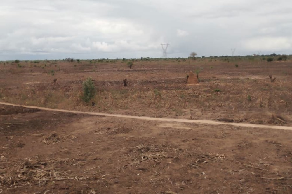 Vacant land for investment in Beira, Sofala, Mozambique - 3MQ1719233