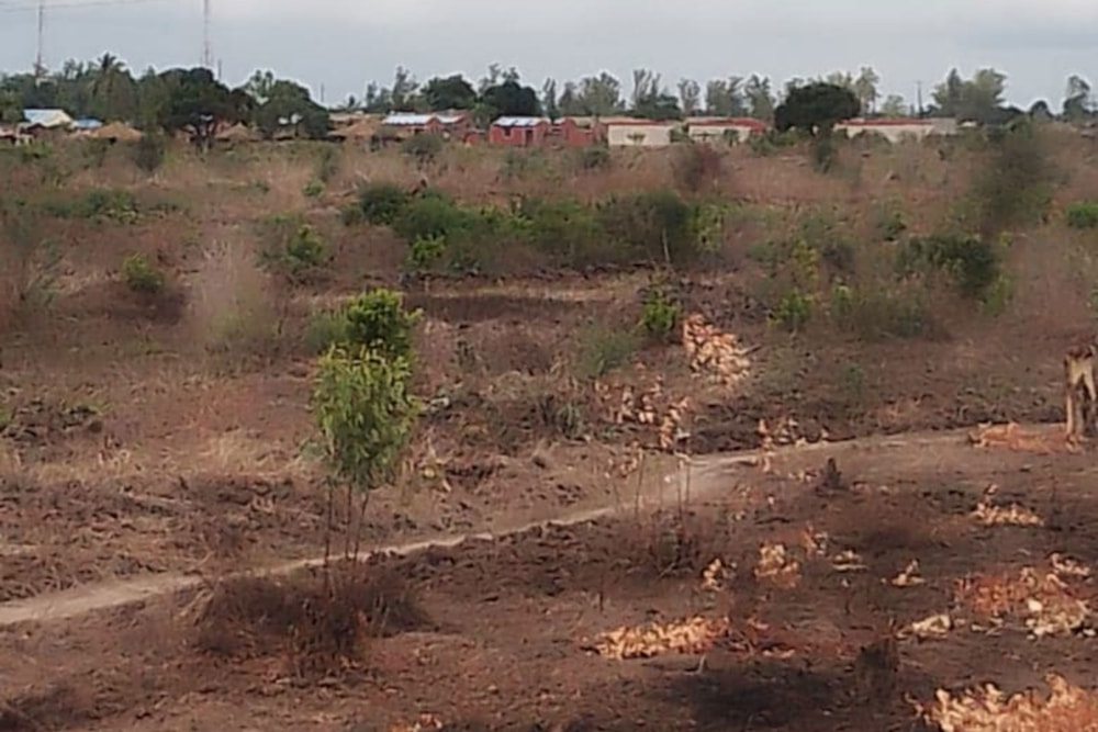 Vacant land for investment in Beira, Sofala, Mozambique - 3MQ1719233