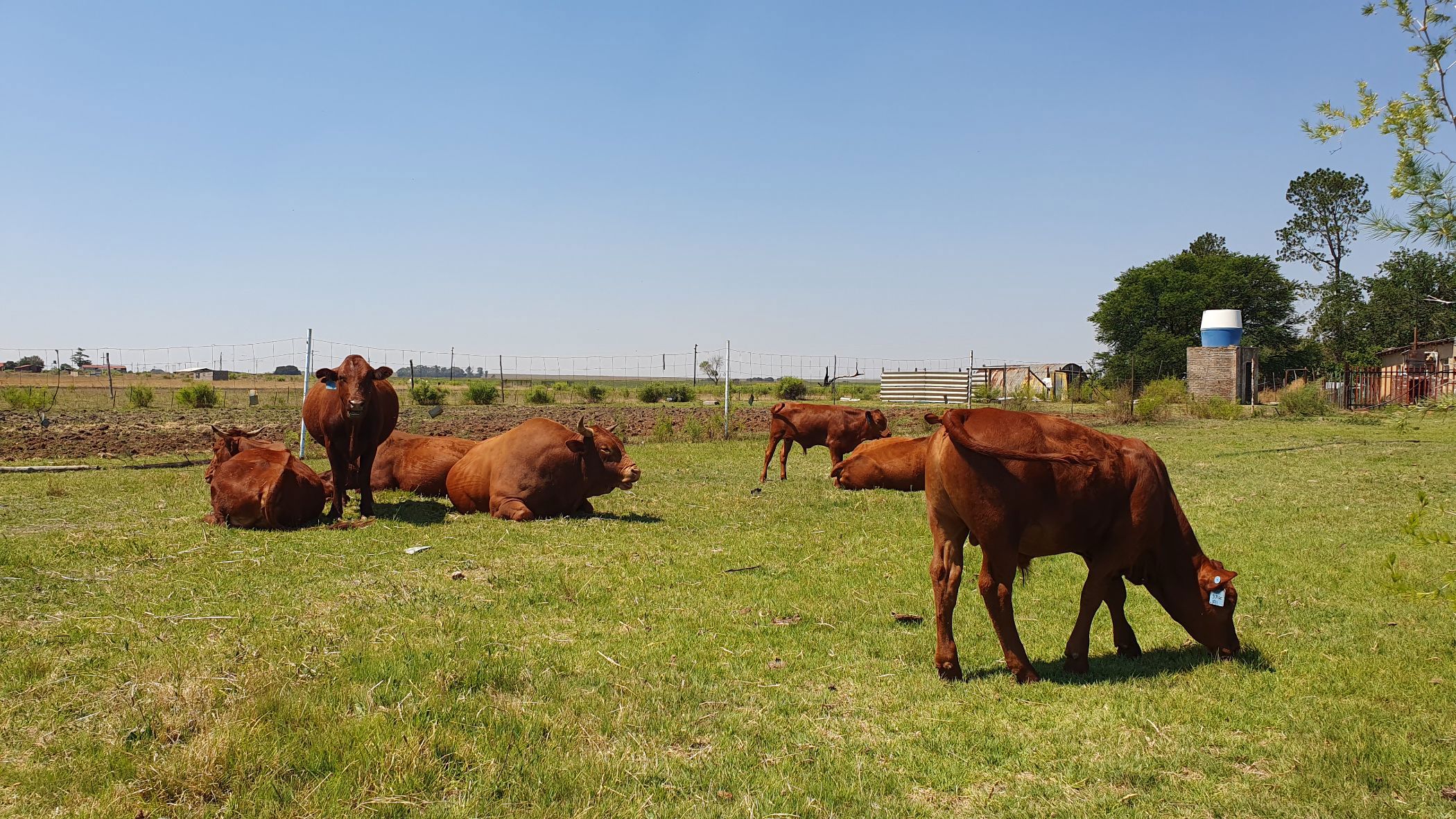 Smallholding for sale in Vanderbijlpark - 1VT1719478