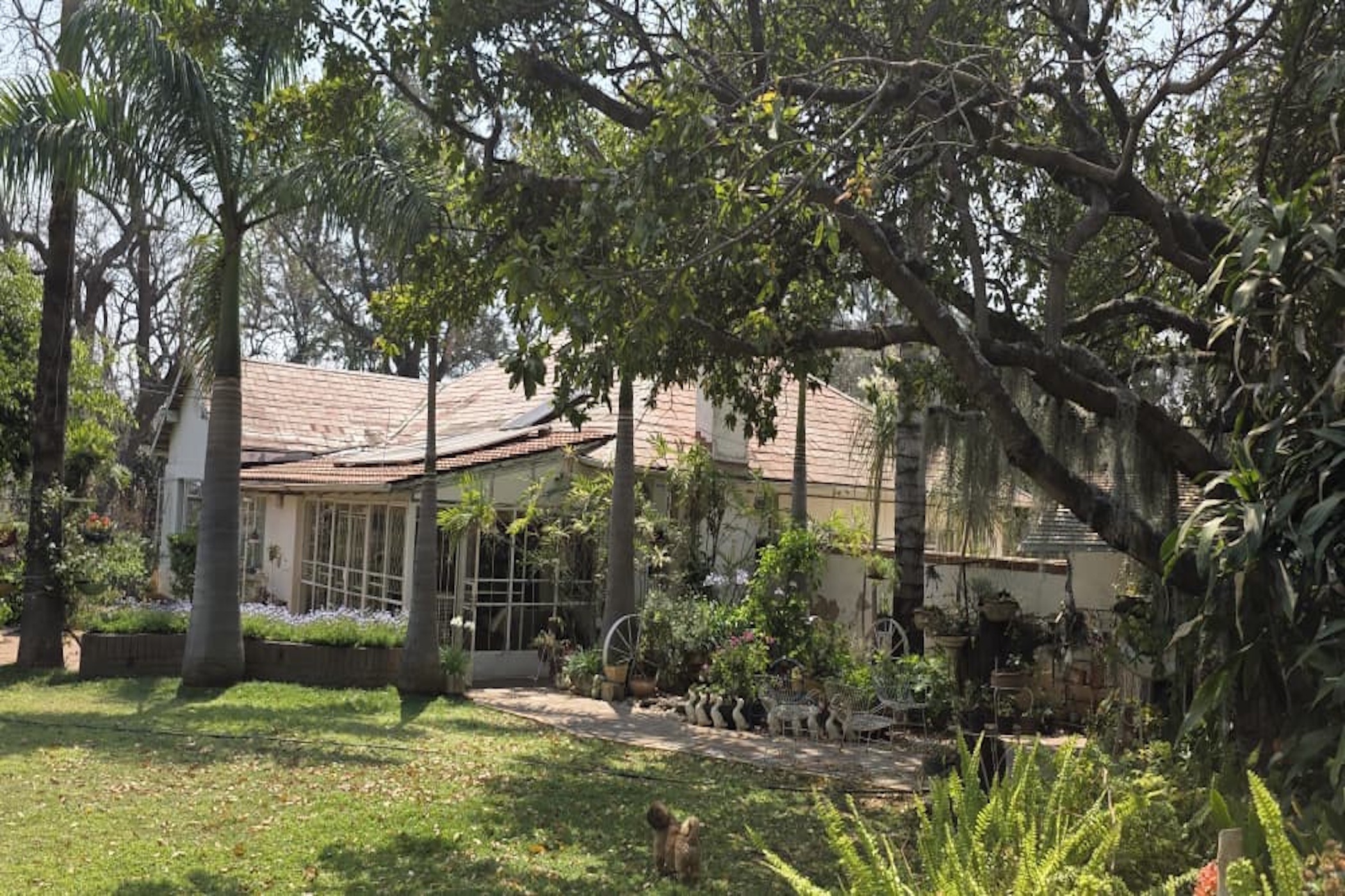 House for sale in Hillside, Bulawayo, Zimbabwe - 3ZB1719423