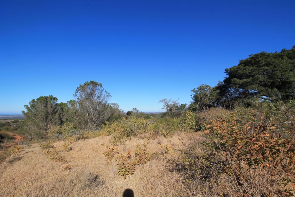 Vacant land sold in Bathurst - 1PF1720039