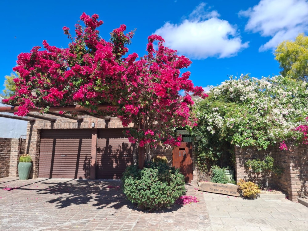 House for sale in Graaff-Reinet - 1KK1719584