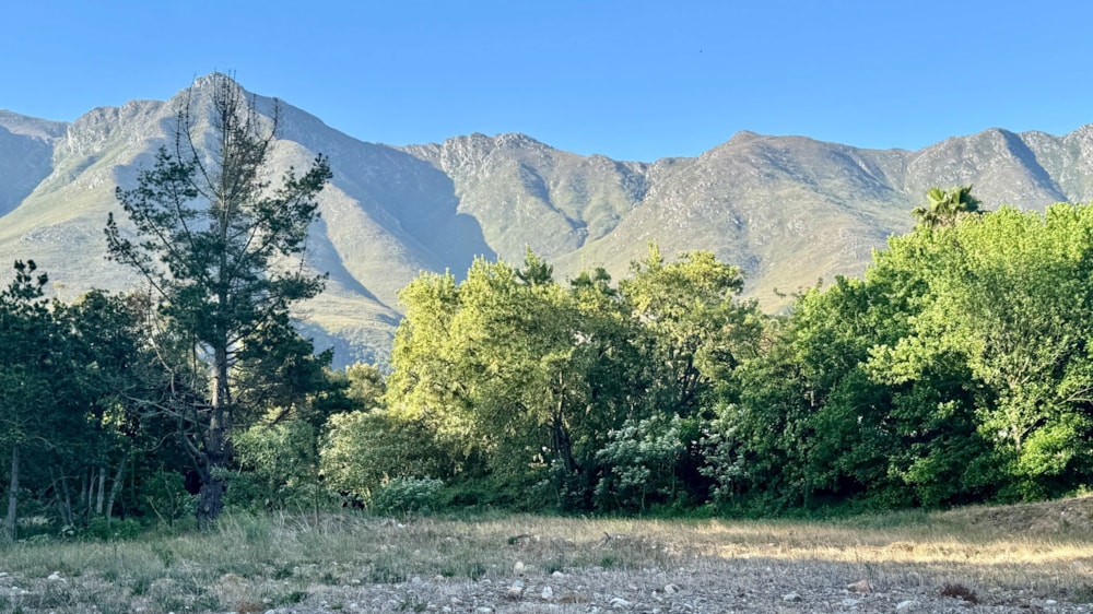 Vacant land for sale in Swellendam - 1SW1719806