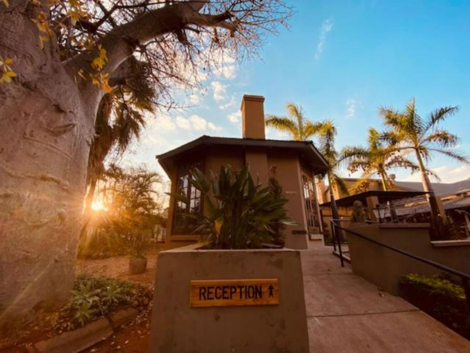 House for sale in Musina (Messina) - 1TA1719659