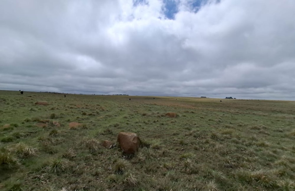 Mixed use farm for sale in Dullstroom - 1DS1719667 Mixed use farm for sale in Dullstroom - 1DS1719667