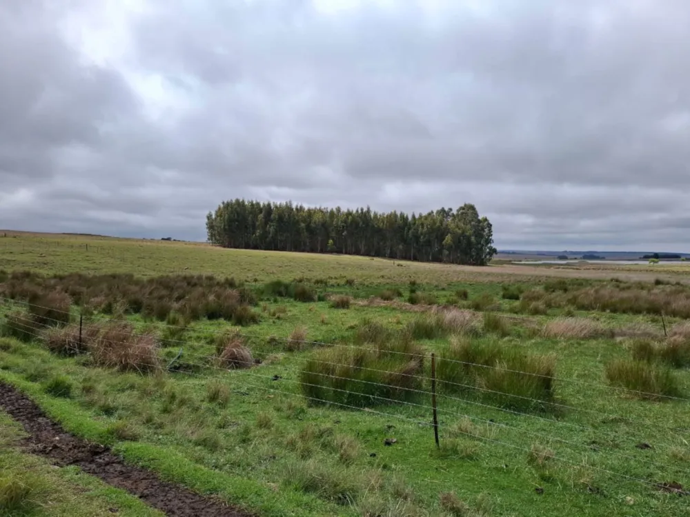 Mixed use farm sold in Dullstroom - 1DS1719667 Mixed use farm sold in Dullstroom - 1DS1719667