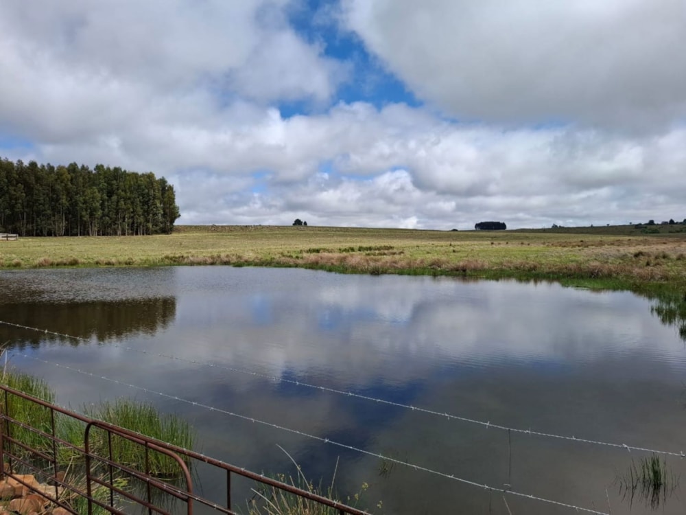 Mixed use farm for sale in Dullstroom - 1DS1719667 Mixed use farm for sale in Dullstroom - 1DS1719667