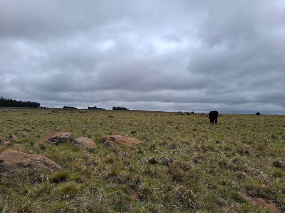 Mixed use farm for sale in Dullstroom - 1DS1719667 Mixed use farm for sale in Dullstroom - 1DS1719667