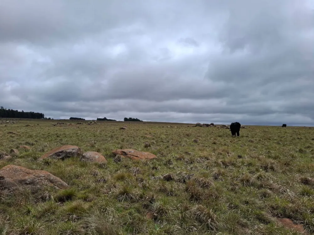 Mixed use farm sold in Dullstroom - 1DS1719667 Mixed use farm sold in Dullstroom - 1DS1719667