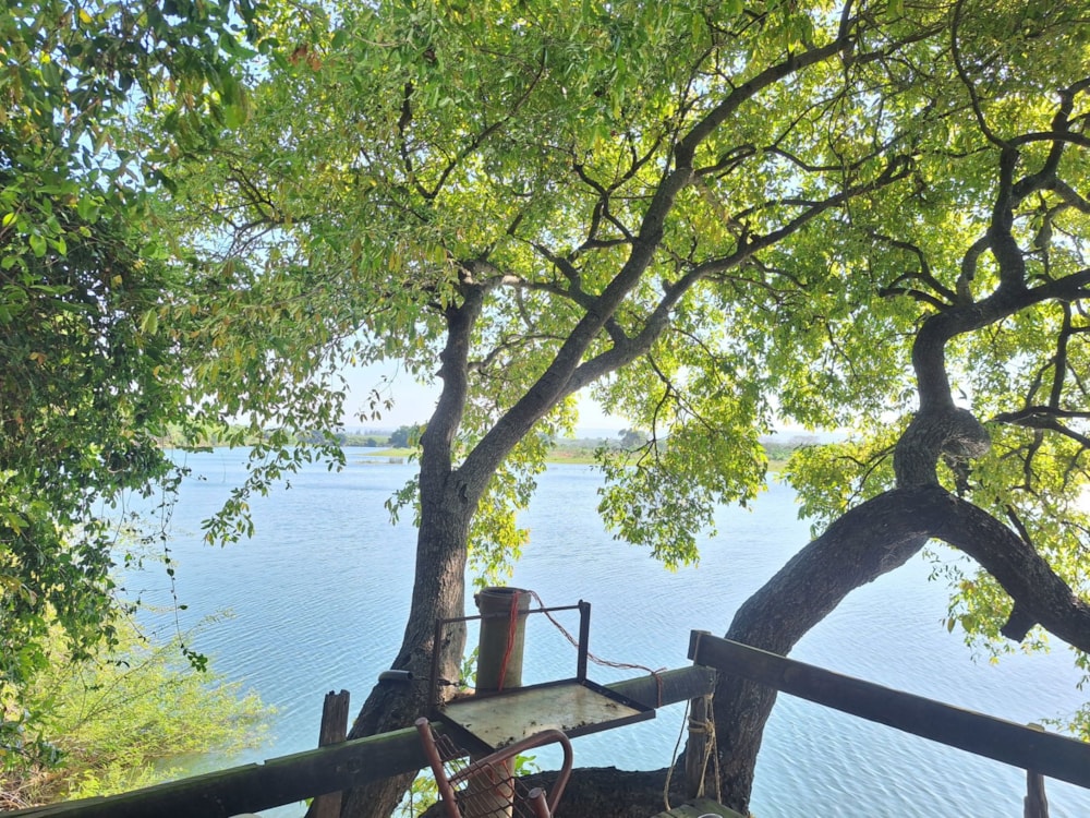 Lifestyle property for sale in Boane, Mozambique - 3MQ1719780 Lifestyle property for sale in Boane, Mozambique - 3MQ1719780