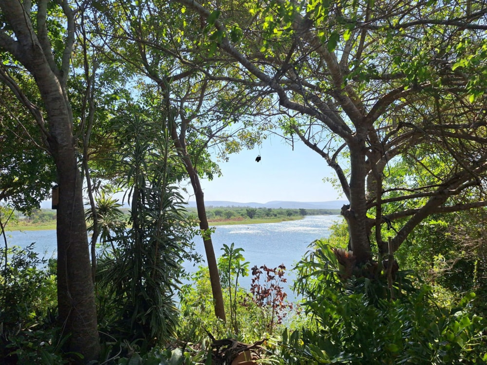 Lifestyle property for sale in Boane, Mozambique - 3MQ1719780 Lifestyle property for sale in Boane, Mozambique - 3MQ1719780