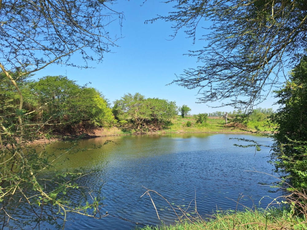 Farm vacant land for investment in Boane, Mozambique - 3MQ1719786 Farm vacant land for investment in Boane, Mozambique - 3MQ1719786