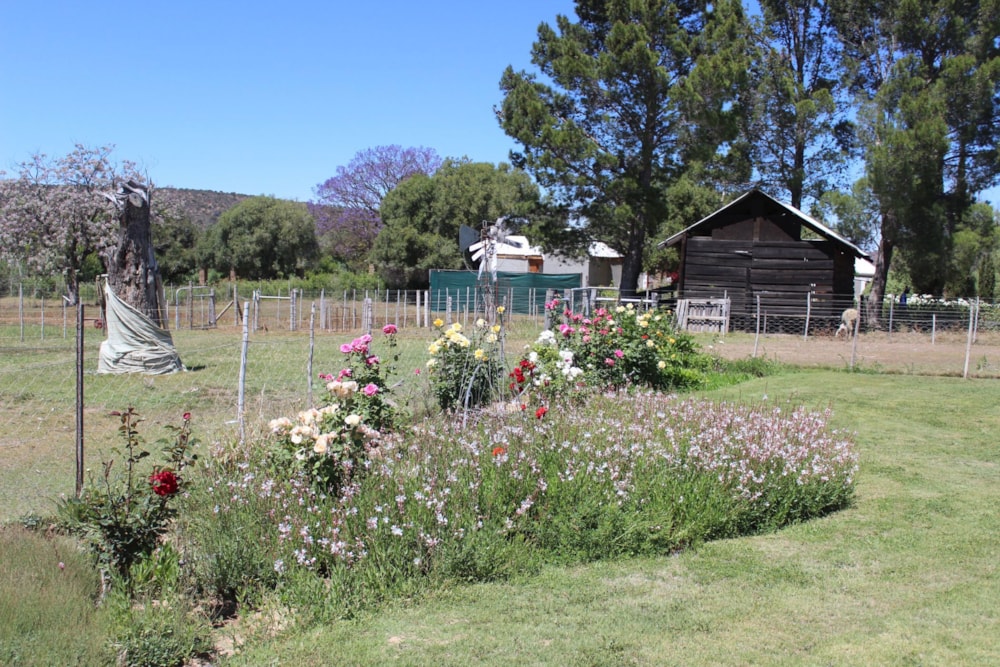 Livestock farm for sale in Somerset East - 1KK1719853