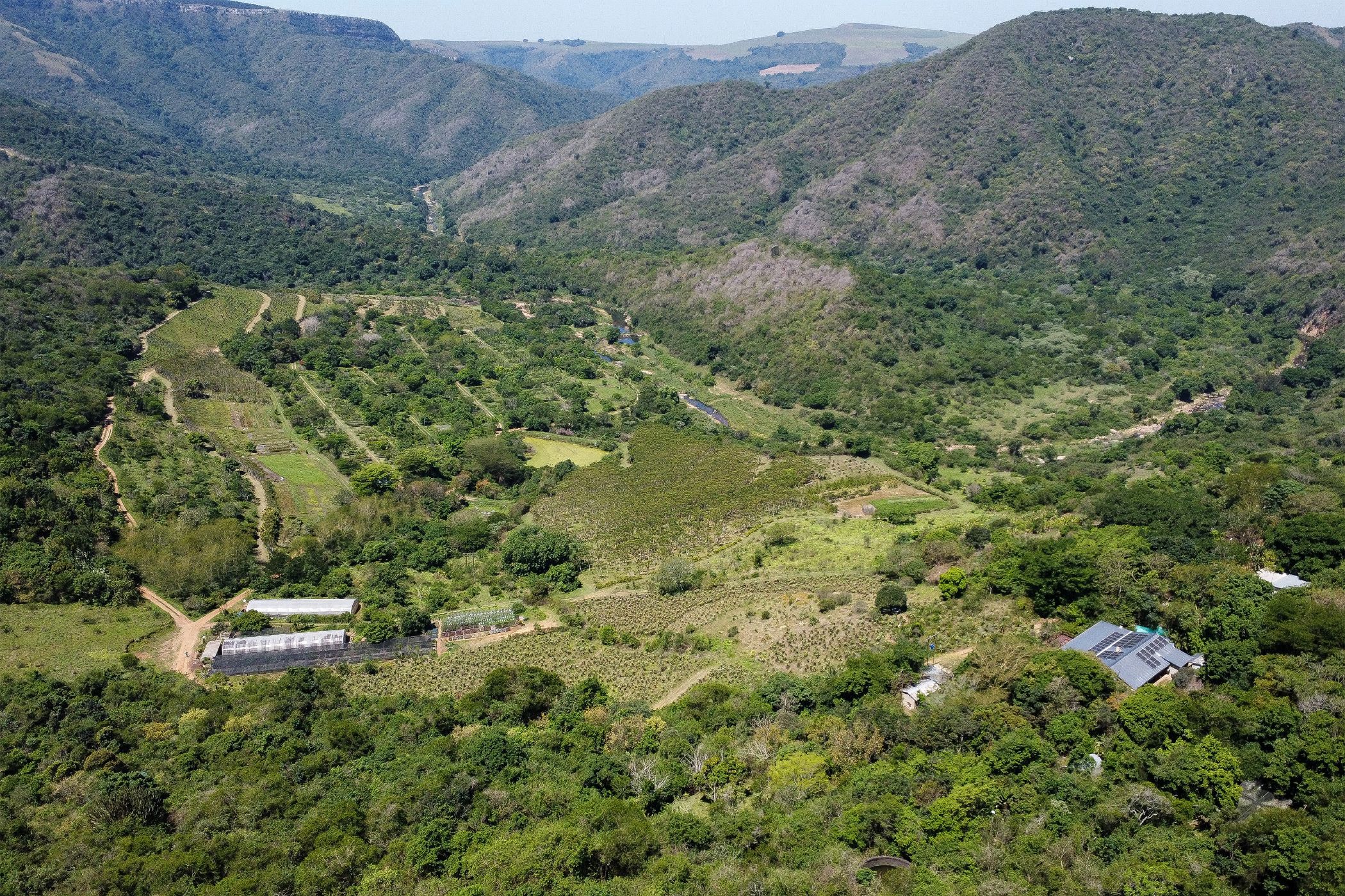 Mixed use farm for sale in Camperdown - 1PM1720203