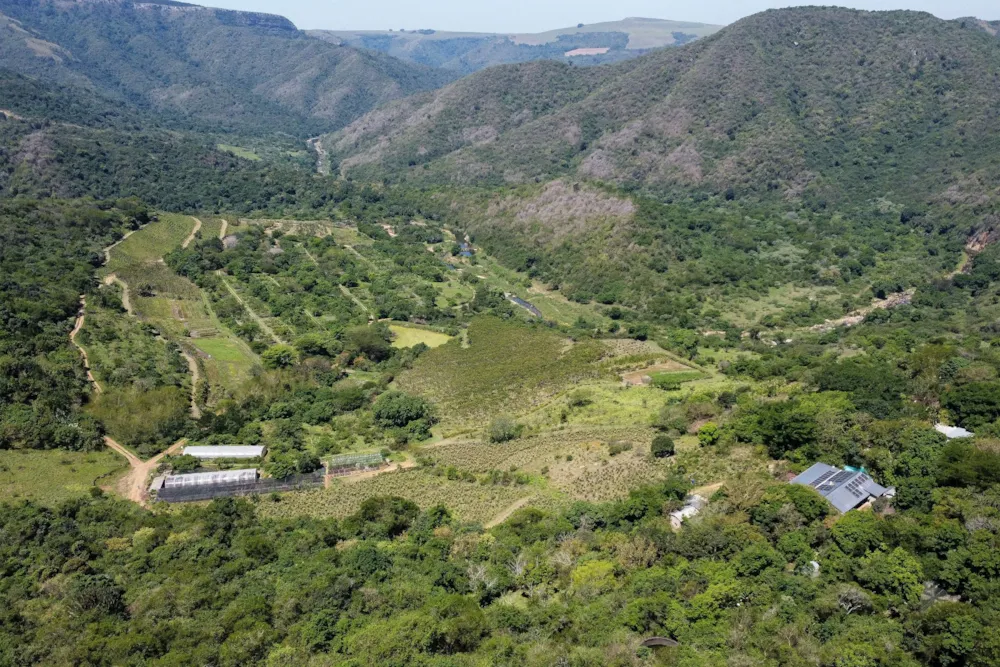 Mixed use farm for sale in Camperdown - 1PM1720203