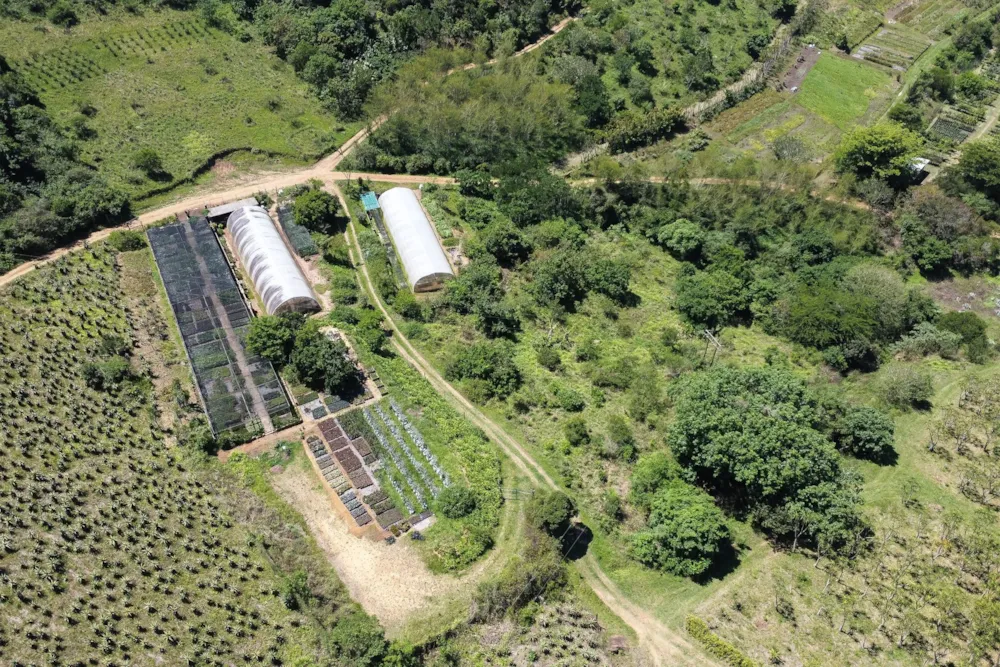 Mixed use farm for sale in Camperdown - 1PM1720203