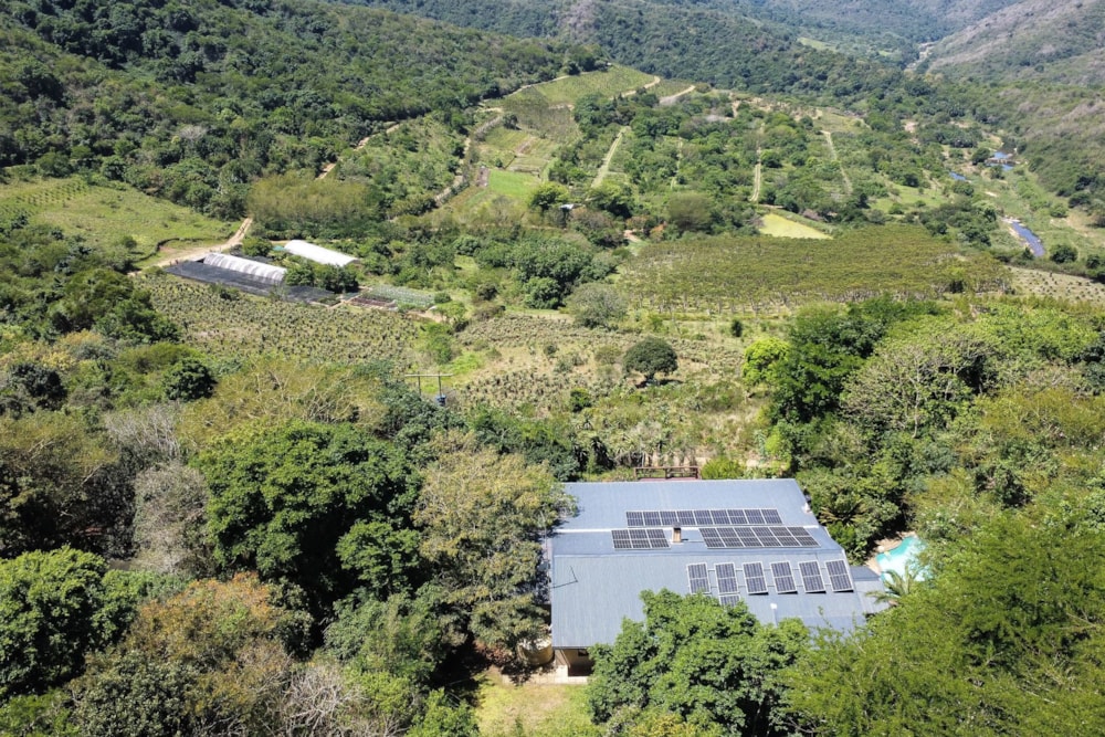 Mixed use farm for sale in Camperdown - 1PM1720203 Mixed use farm for sale in Camperdown - 1PM1720203