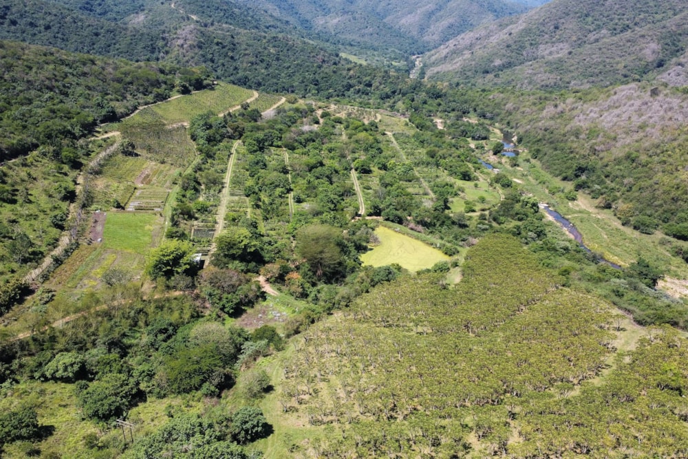 Mixed use farm for sale in Camperdown - 1PM1720203 Mixed use farm for sale in Camperdown - 1PM1720203