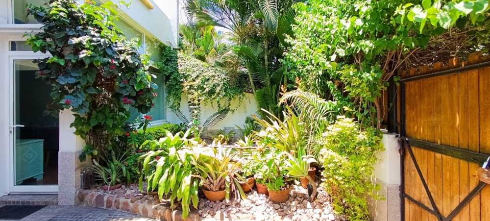 House for sale in Sommerschield , Mozambique - 3MQ1720980 House for sale in Sommerschield , Mozambique - 3MQ1720980