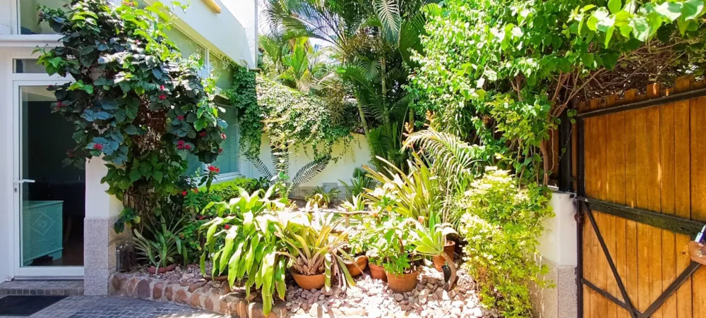 House for sale in Sommerschield , Mozambique - 3MQ1720980 House for sale in Sommerschield , Mozambique - 3MQ1720980