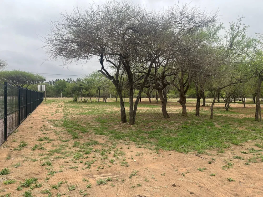 Commercial vacant land for sale in Zandspruit Boulevard - 1HS1720064