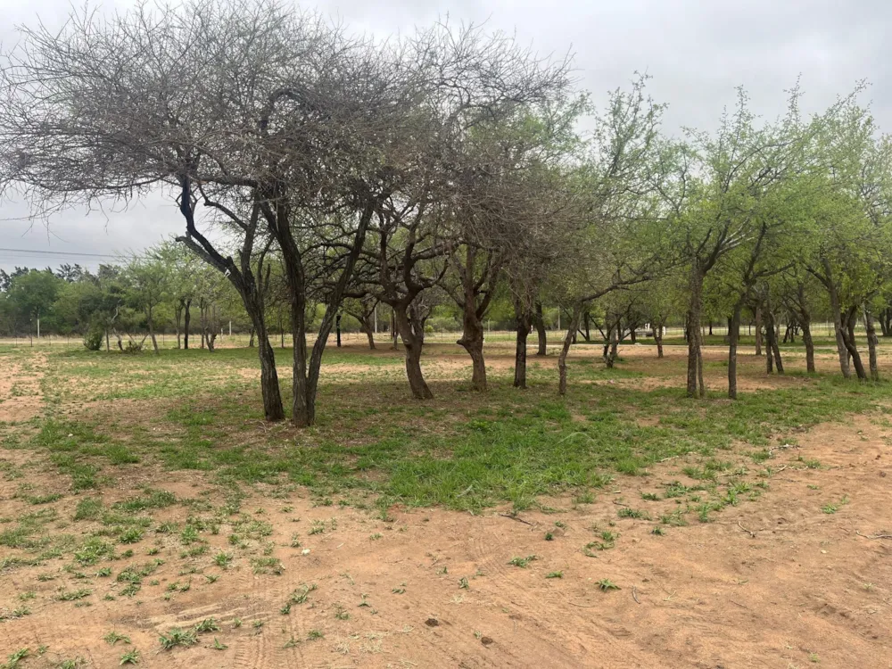 Commercial vacant land for sale in Zandspruit Boulevard - 1HS1720064
