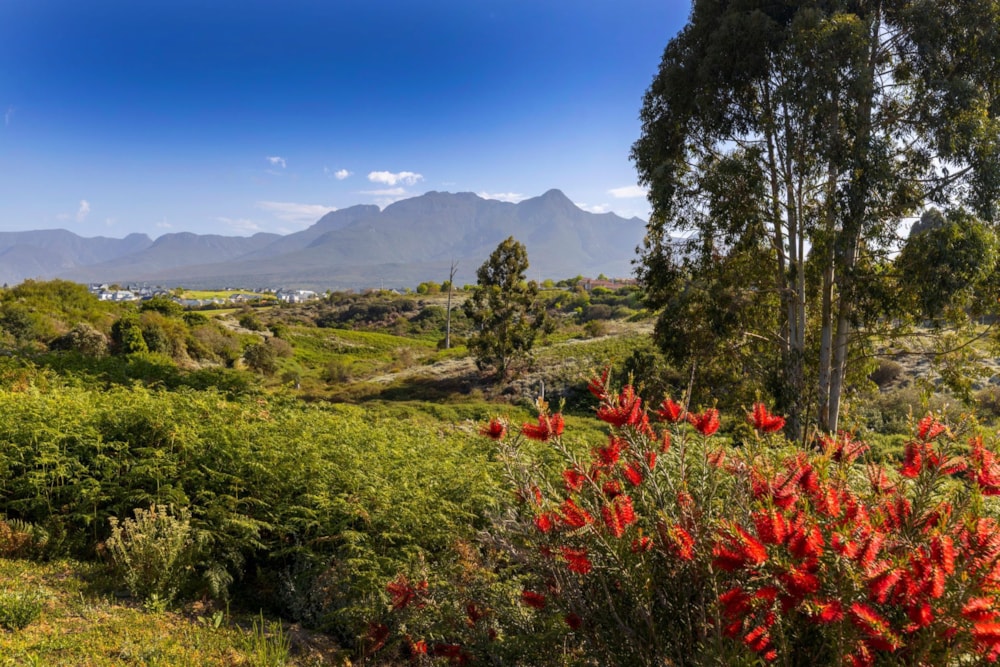 Residential vacant land for sale in Kingswood Golf Estate - GEO1720296 Residential vacant land for sale in Kingswood Golf Estate - GEO1720296