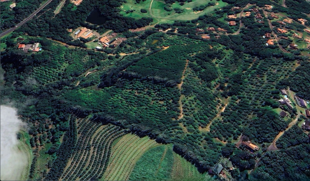 Nut farm for sale in Trafalgar - 1PD1718034