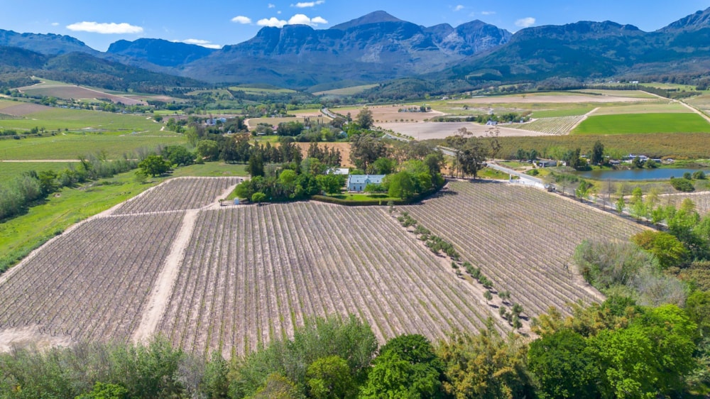 Wine farm for sale in Wellington - TK1717336 Wine farm for sale in Wellington - TK1717336