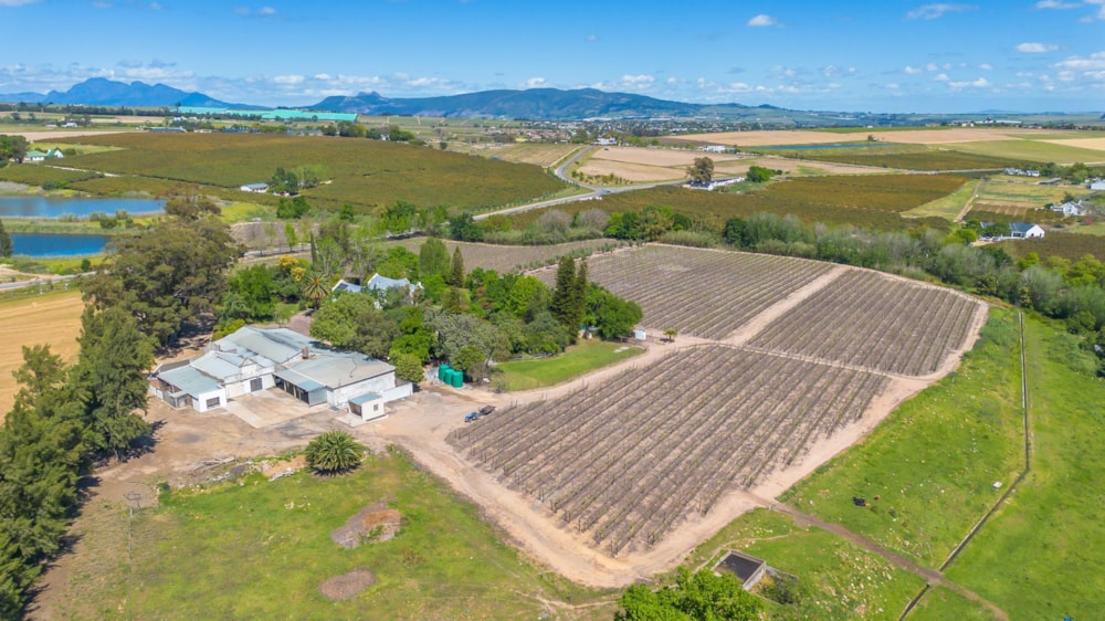 Wine farm for sale in Wellington - TK1717336 Wine farm for sale in Wellington - TK1717336