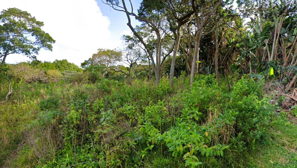 Residential vacant land for sale in Glenmore Beach - 1PD1719629 Residential vacant land for sale in Glenmore Beach - 1PD1719629