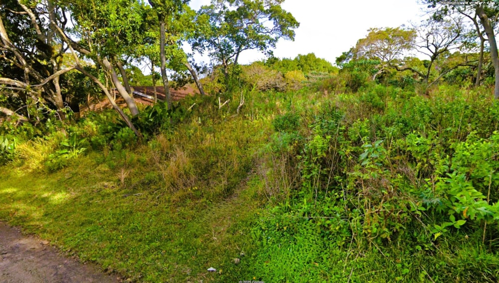 Residential vacant land for sale in Glenmore Beach - 1PD1719629 Residential vacant land for sale in Glenmore Beach - 1PD1719629