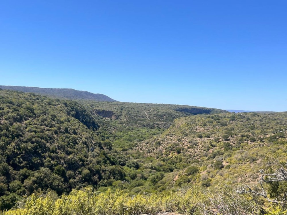 Game farm for sale in Grahamstown (Makhanda) - 1GC1717494 Game farm for sale in Grahamstown (Makhanda) - 1GC1717494