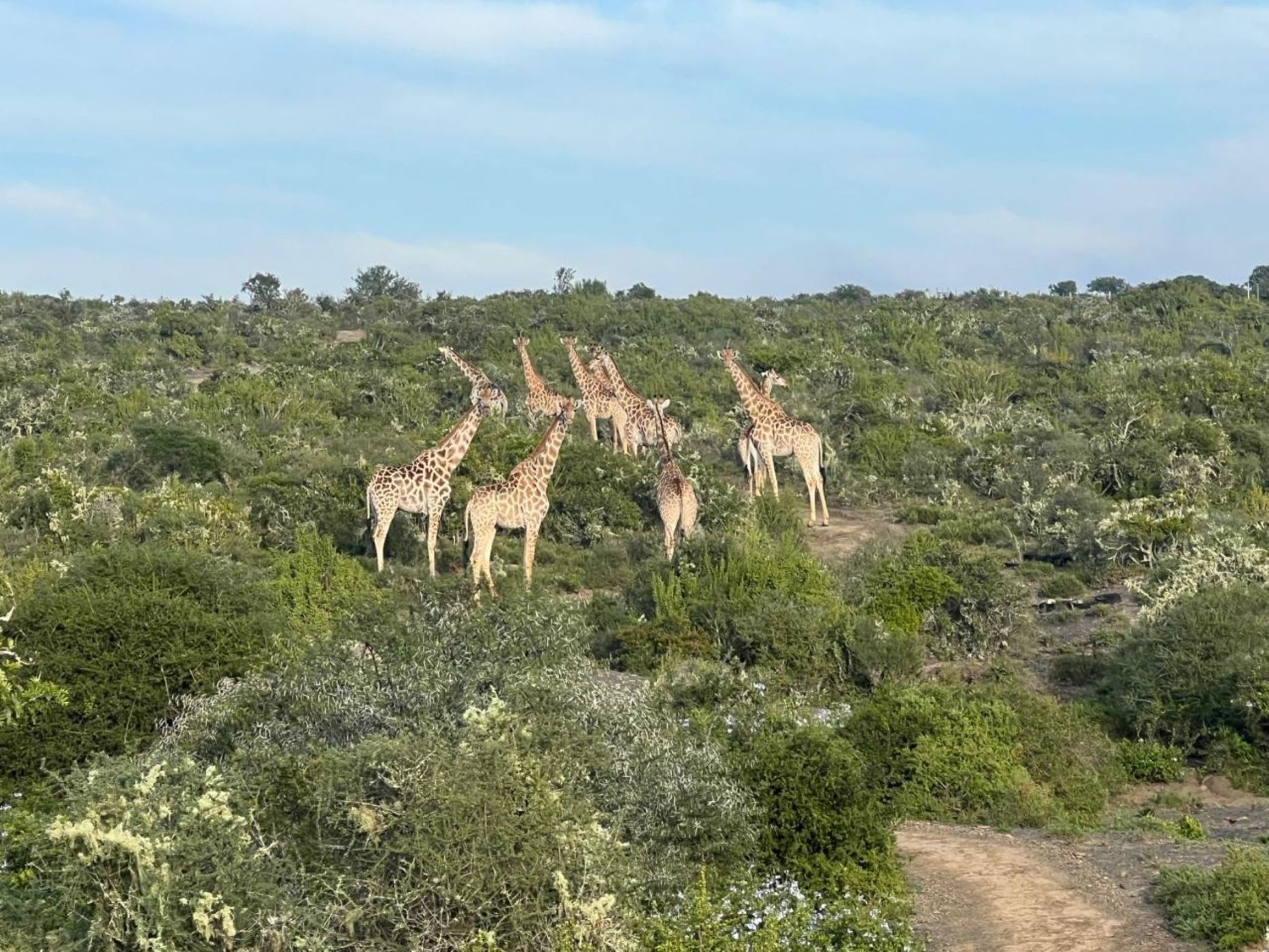 Game farm for sale in Grahamstown (Makhanda) - 1GC1717494