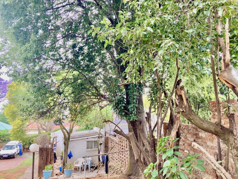 House for sale in Kensington, Bedfordview Area - BED1719404 House for sale in Kensington, Bedfordview Area - BED1719404