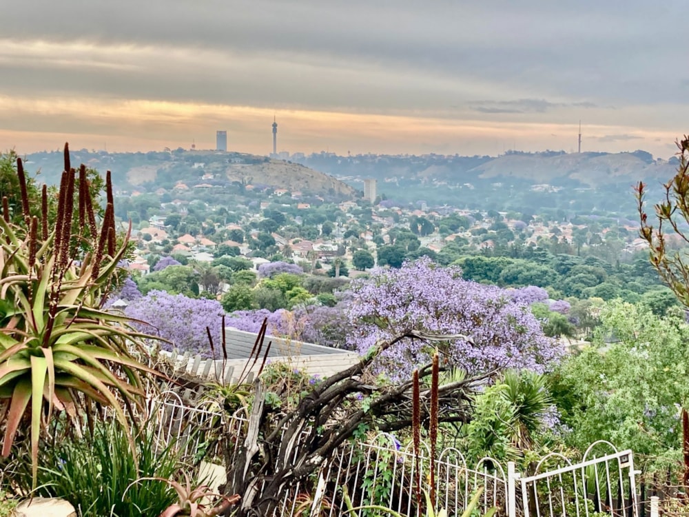 House for sale in Kensington, Bedfordview Area - BED1719404 House for sale in Kensington, Bedfordview Area - BED1719404