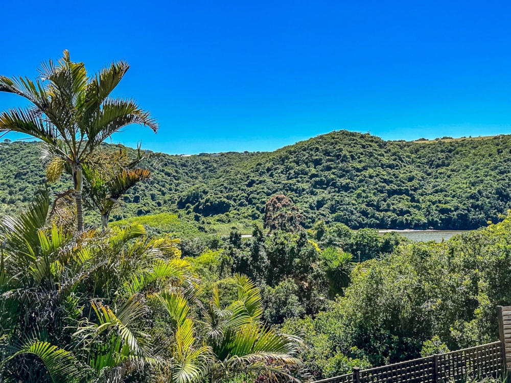 House for sale in Gonubie - 1EZ1716559 House for sale in Gonubie - 1EZ1716559