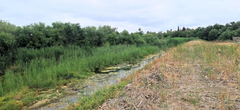 Vacant land for sale in Wesbank, Oudtshoorn - 1OU1719482