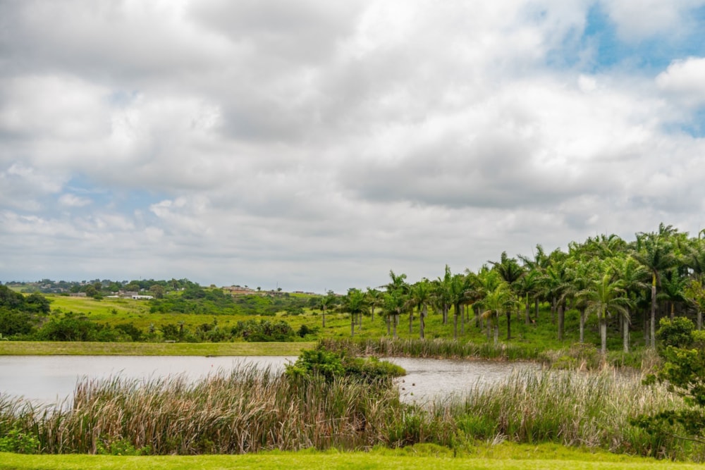 Apartment for sale in Palm Lakes Estates - 1BD1719645