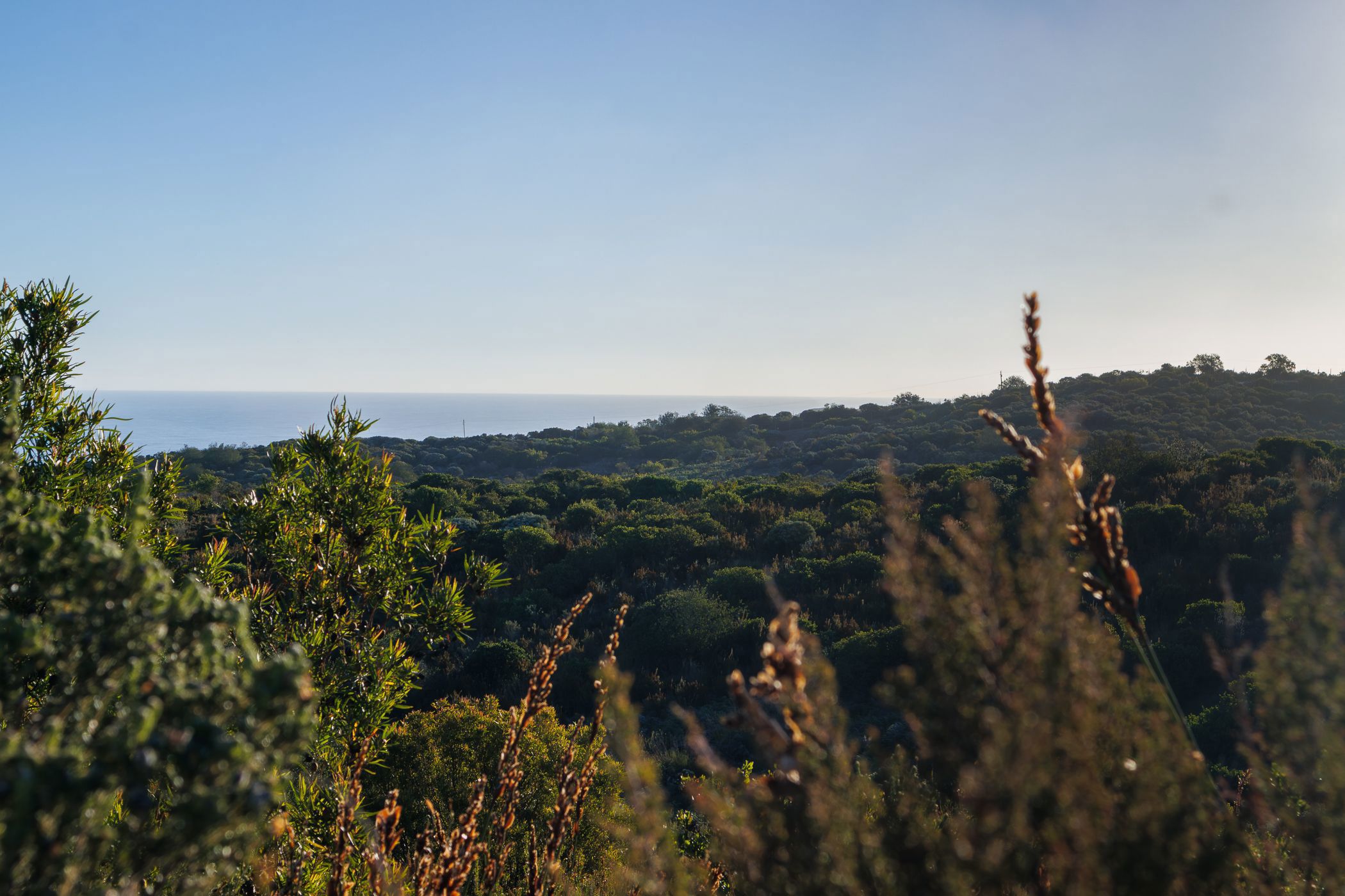 Residential vacant land for sale in Pezula Private Estate - 1KG1722195