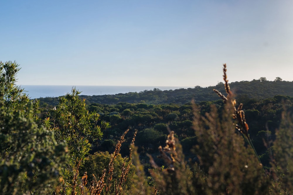 Residential vacant land for sale in Pezula Private Estate - 1KG1722195 Residential vacant land for sale in Pezula Private Estate - 1KG1722195