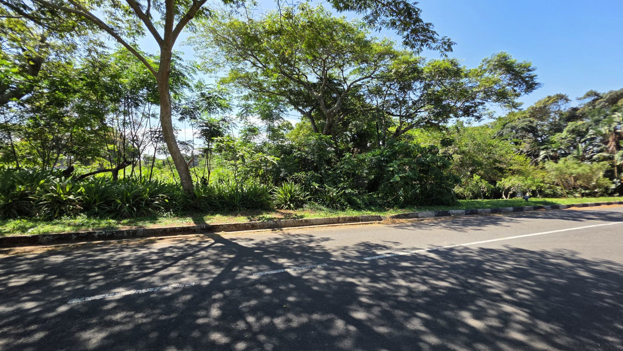 Vacant land for sale in Pumula - 1PSH1721274