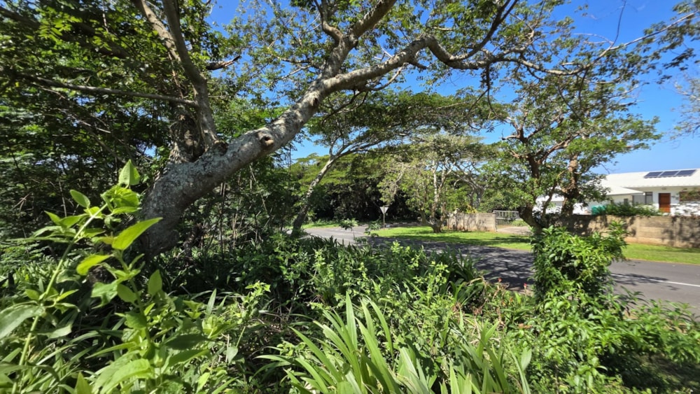 Vacant land for sale in Pumula - 1PSH1721274