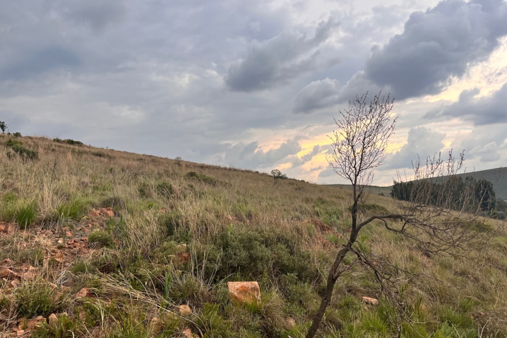 Vacant land for sale in Witbank (eMalahleni) - 1WD1722734