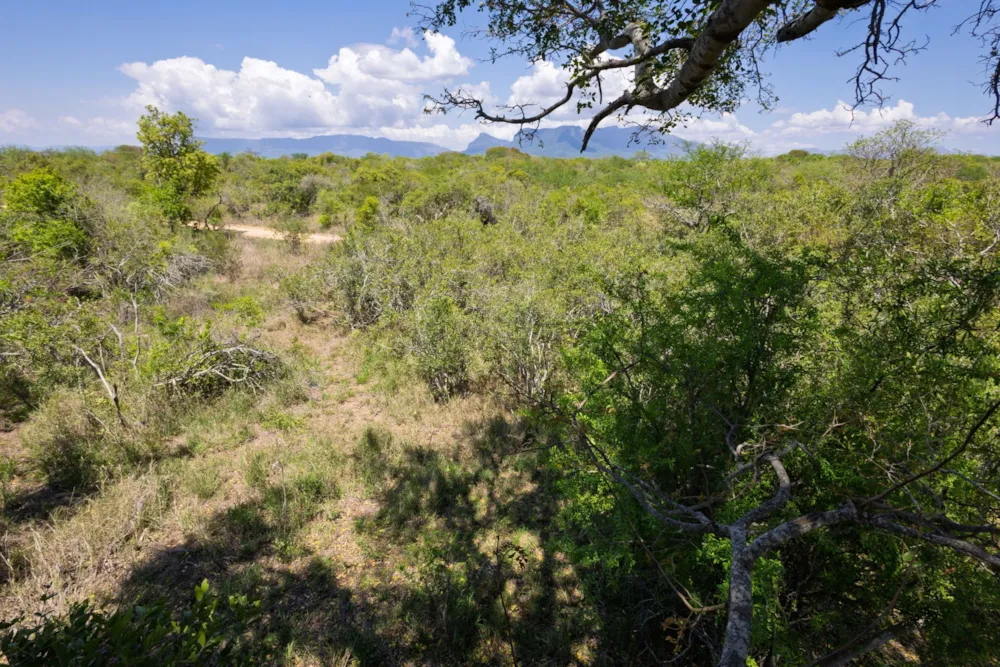 Vacant land for sale in Moditlo Nature Reserve - 1HS1722586