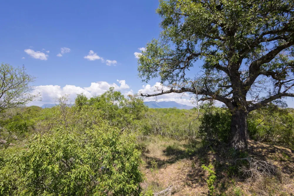 Vacant land for sale in Moditlo Nature Reserve - 1HS1722586