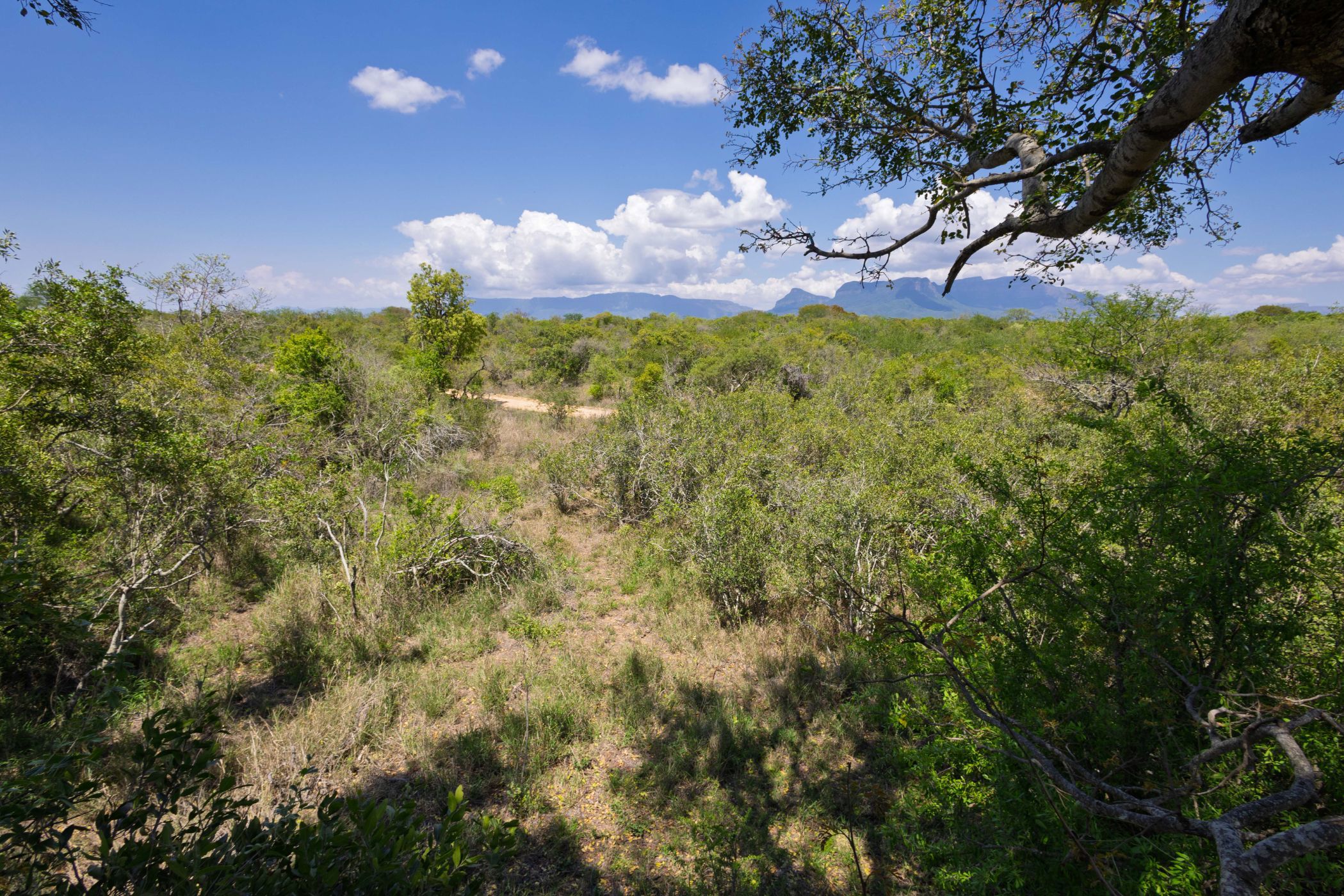 Vacant land for sale in Moditlo Nature Reserve - 1HS1722586