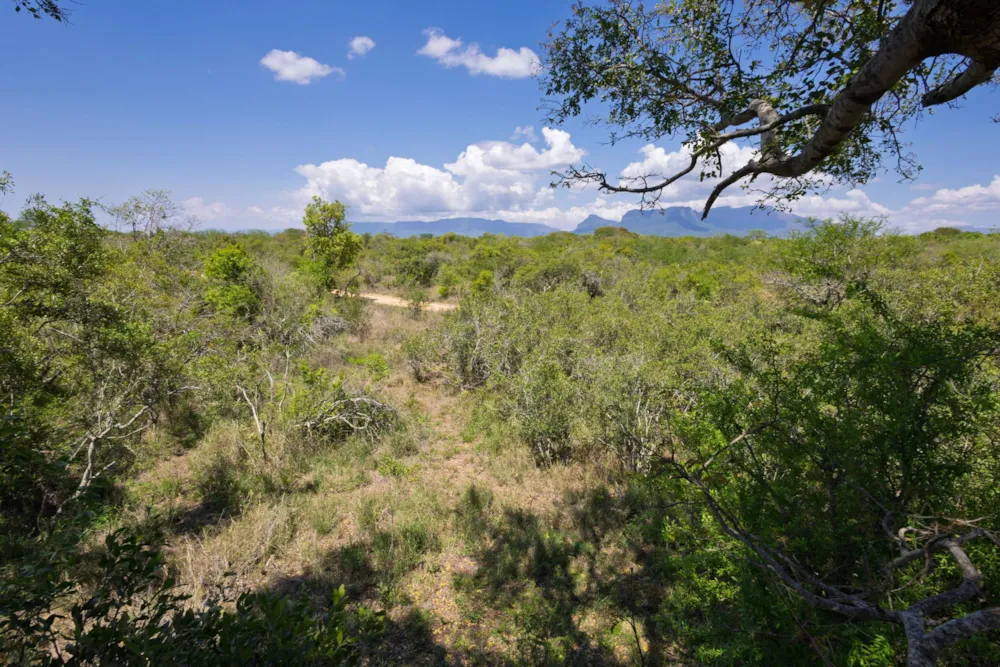 Vacant land for sale in Moditlo Nature Reserve - 1HS1722586
