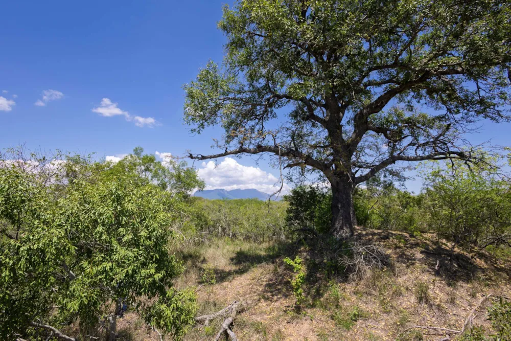 Vacant land for sale in Moditlo Nature Reserve - 1HS1722586