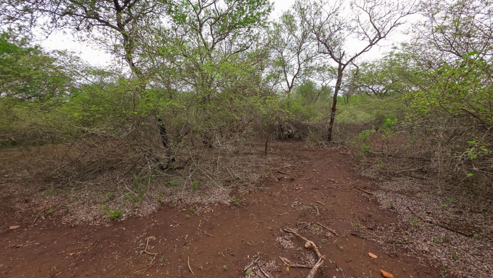 Vacant land for sale in Marloth Park - 1NK1723242 Vacant land for sale in Marloth Park - 1NK1723242